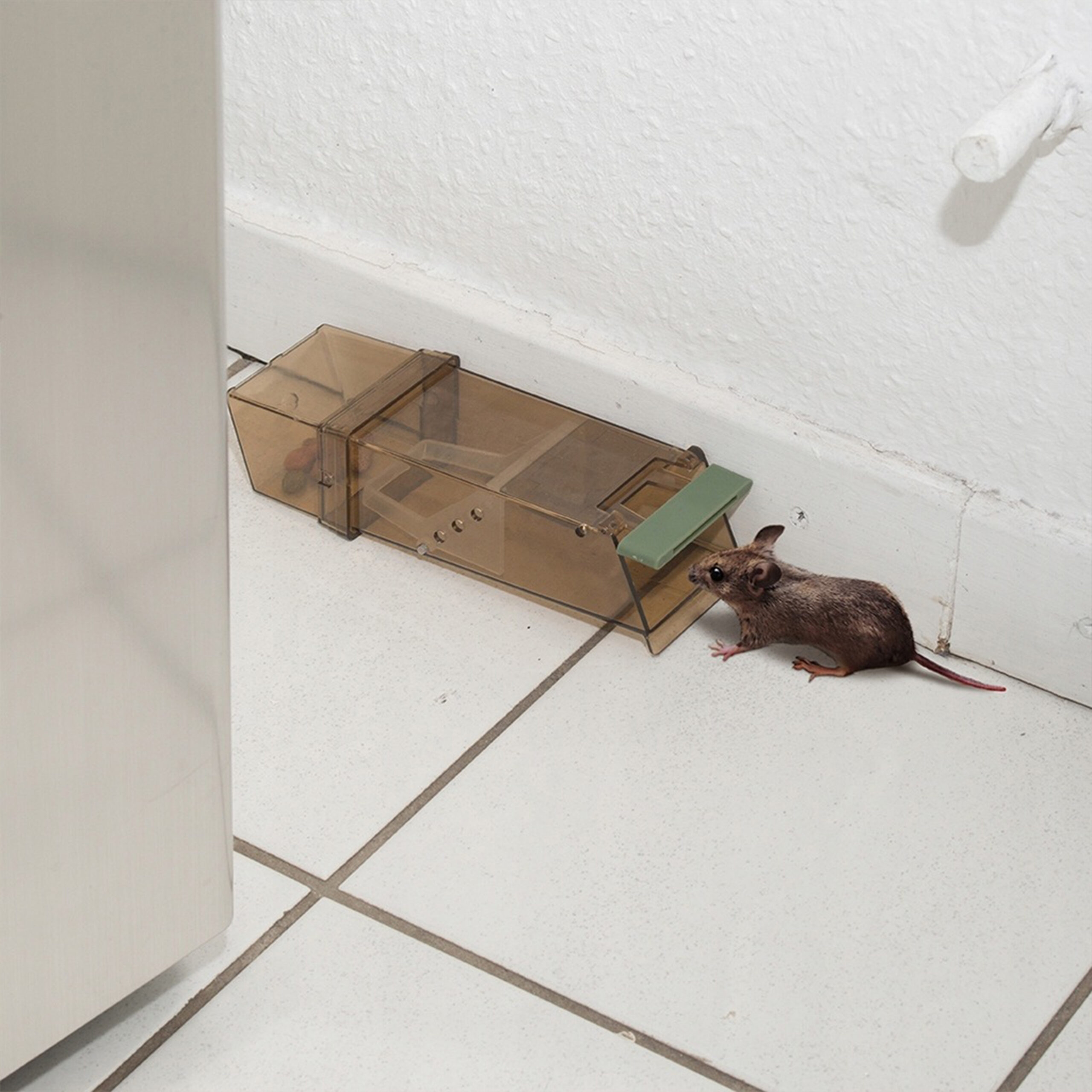 Pułapka zamykana przeciwko myszom i szczurom VERGIONIC 7620_14